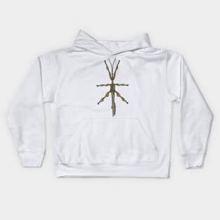 Male Giant prickly stick insect Extatosoma tiaratum Kids Hoodie